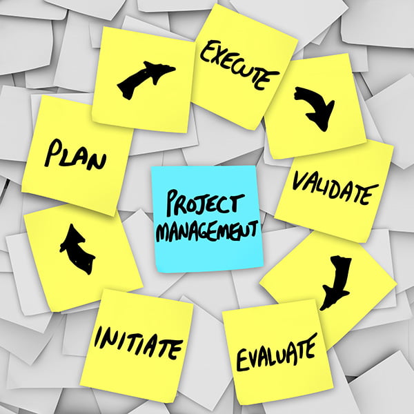 Project Management - Between Human Capital and Software